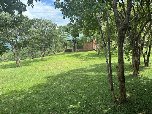 image2.jpg