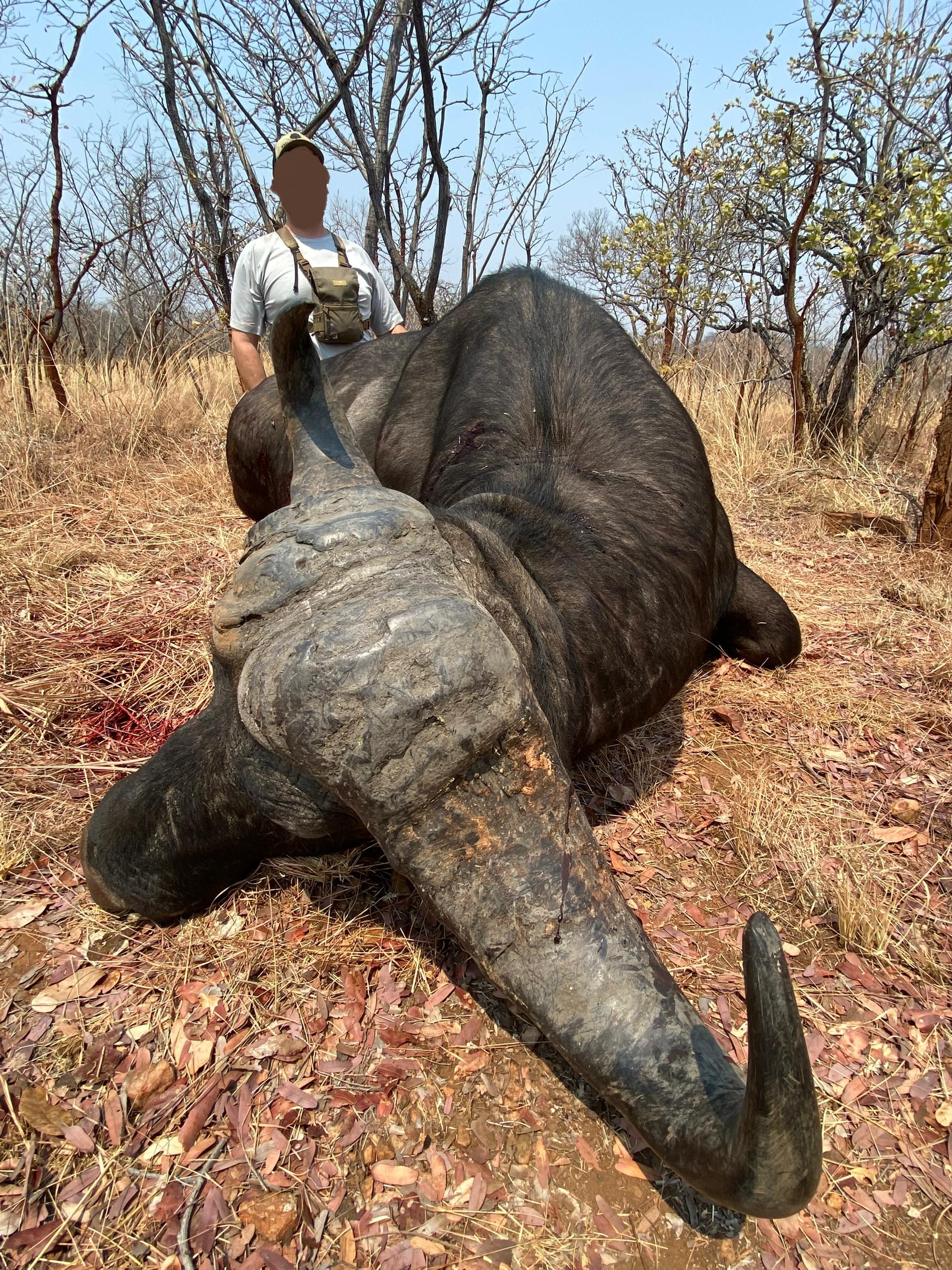 Leopard Hunting in Namibia & Brown Hyena Cancelation Hunt