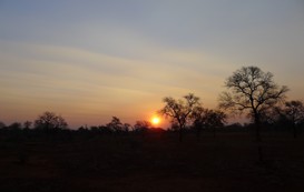 Leopard Hunting in Namibia & Brown Hyena Cancelation Hunt