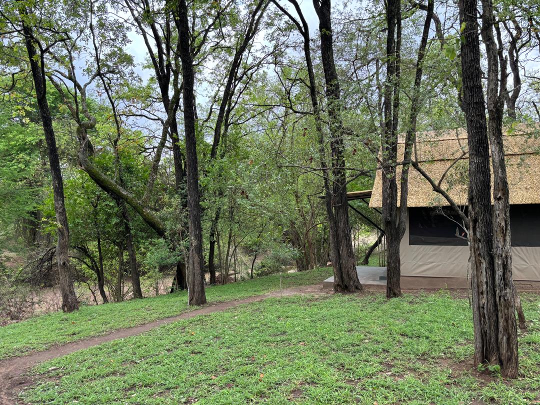 Leopard Hunting in Namibia & Brown Hyena Cancelation Hunt