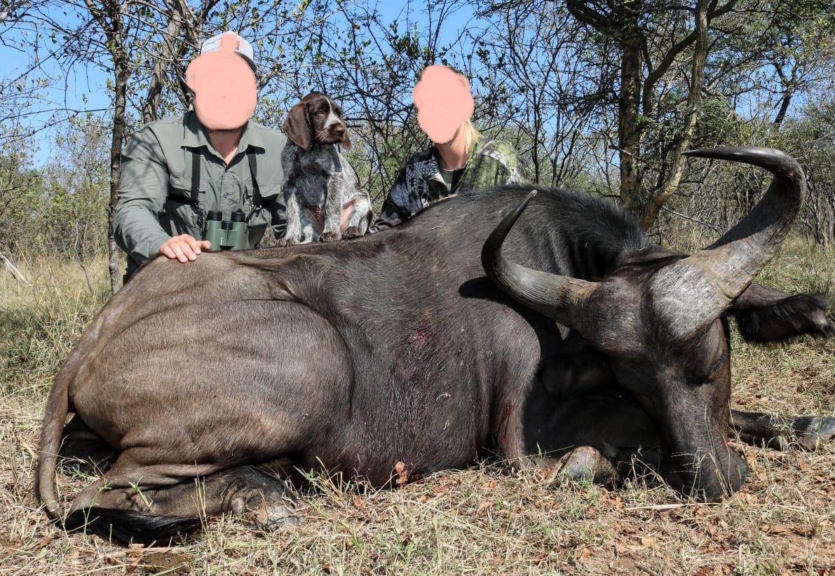 Leopard Hunting in Namibia & Brown Hyena Cancelation Hunt