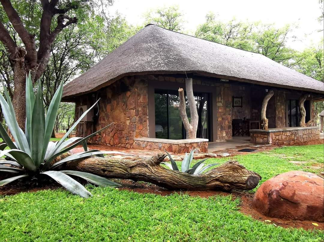 Leopard Hunting in Namibia & Brown Hyena Cancelation Hunt