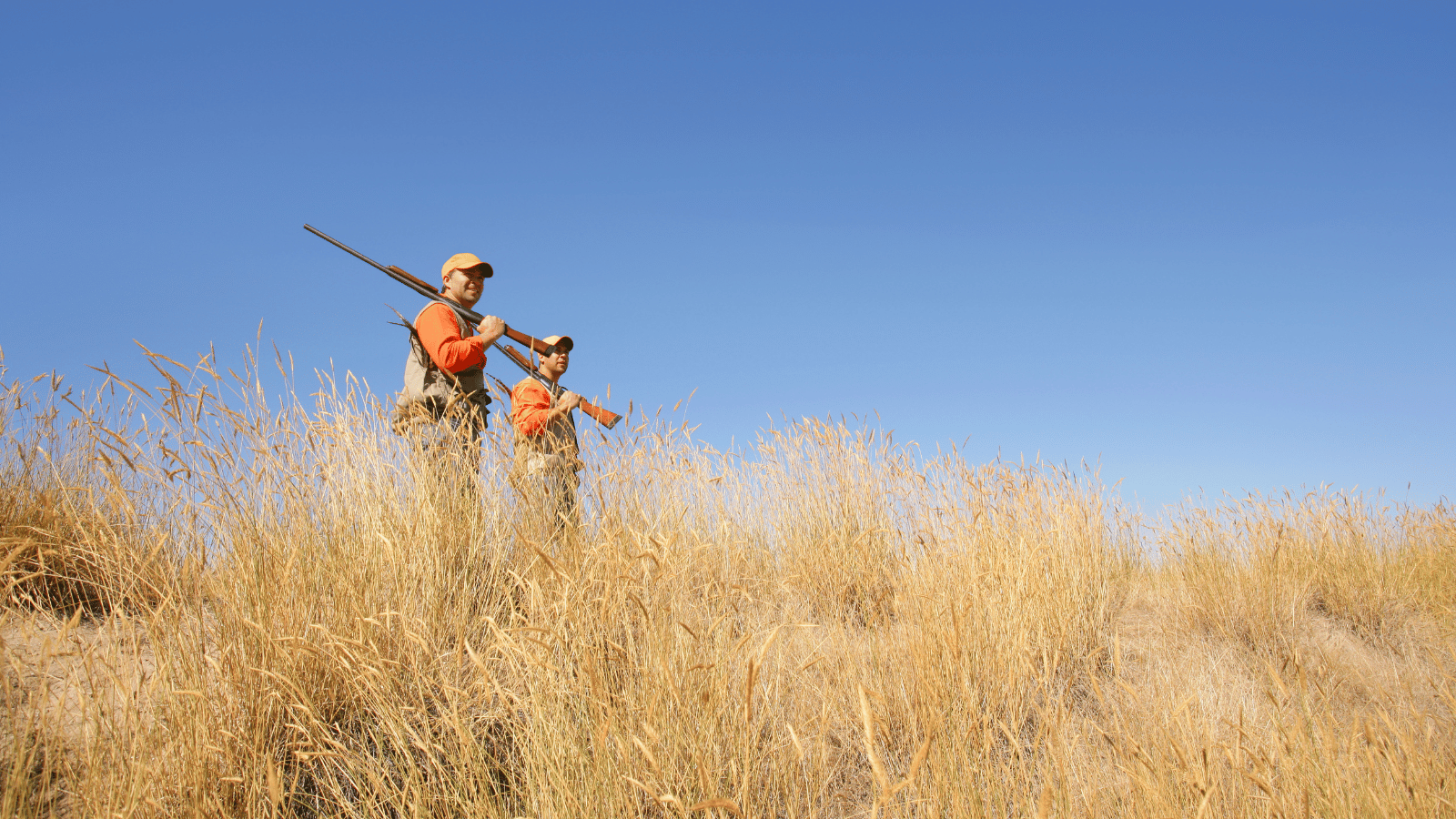 U.S. vs Africa: Which Hunting Trip Is Right for You?