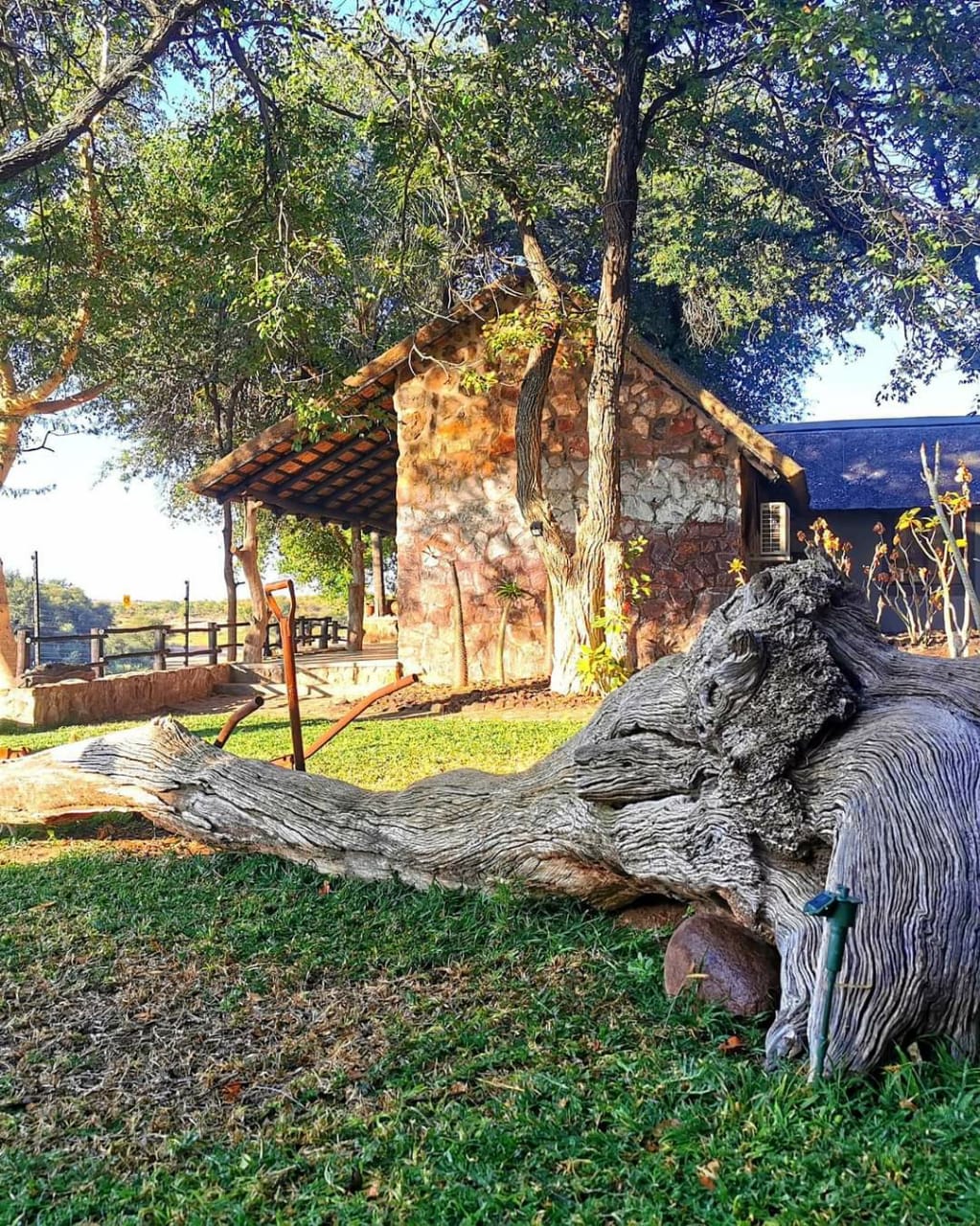 Leopard Hunting in Namibia & Brown Hyena Cancelation Hunt