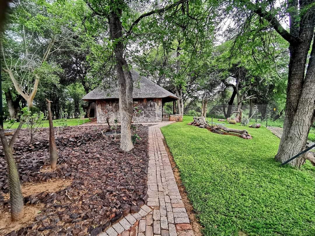 Leopard Hunting in Namibia & Brown Hyena Cancelation Hunt