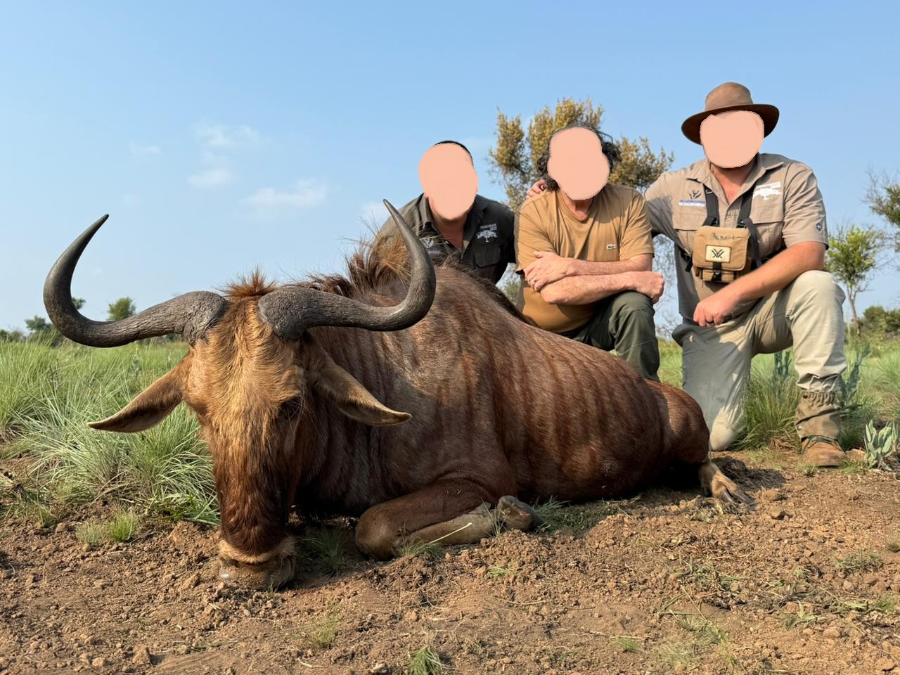 Leopard Hunting in Namibia & Brown Hyena Cancelation Hunt