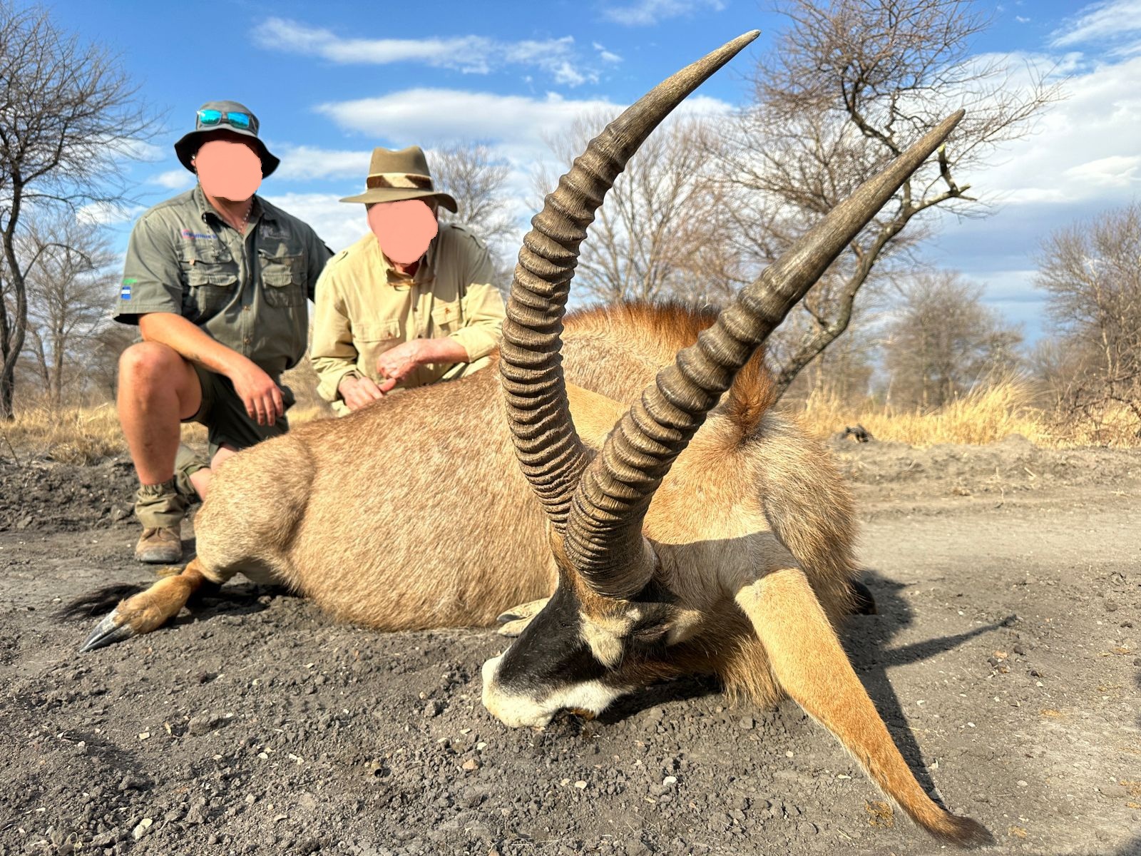 The Royal Duo:  Roan & Sable Hunting in Zimbabwe