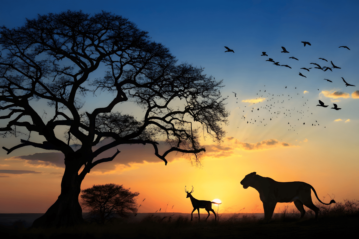 The Cost of an African Hunting Trip 2026: What U.S. Hunters Should Budget (and How Game Hunting Safaris Keeps It Simple)