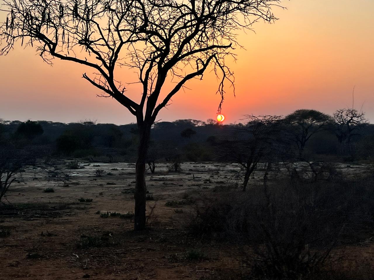 Leopard Hunting in Namibia & Brown Hyena Cancelation Hunt