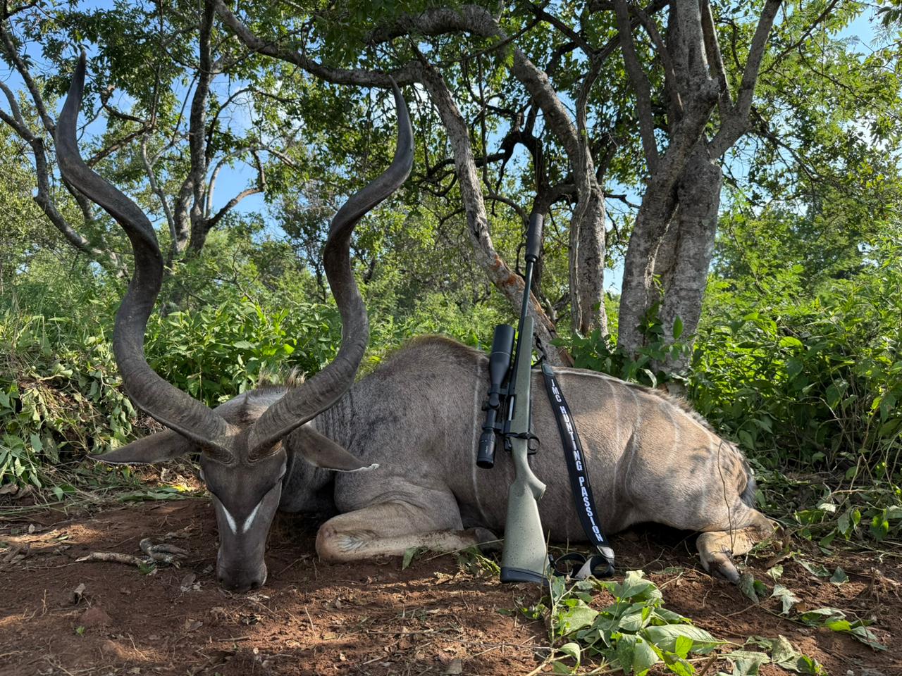 Leopard Hunting in Namibia & Brown Hyena Cancelation Hunt
