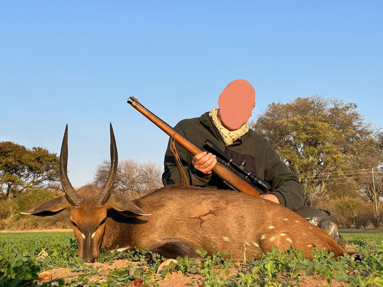 Leopard Hunting in Namibia & Brown Hyena Cancelation Hunt