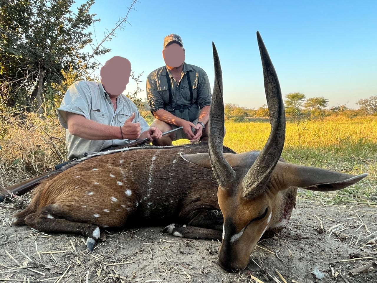 Leopard Hunting in Namibia & Brown Hyena Cancelation Hunt