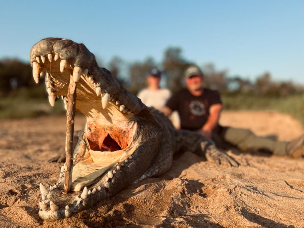 Leopard Hunting in Namibia & Brown Hyena Cancelation Hunt