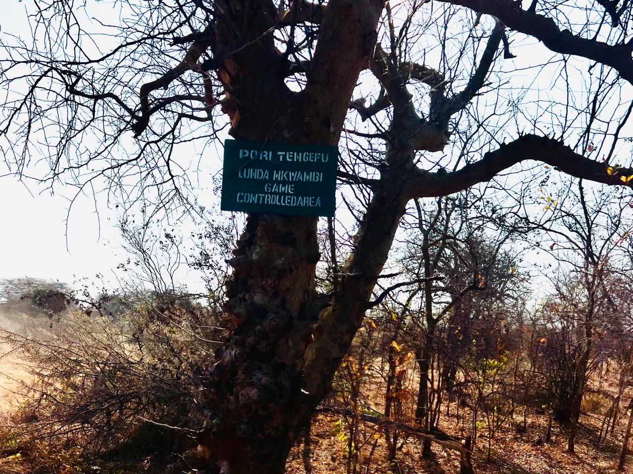 Leopard Hunting in Namibia & Brown Hyena Cancelation Hunt