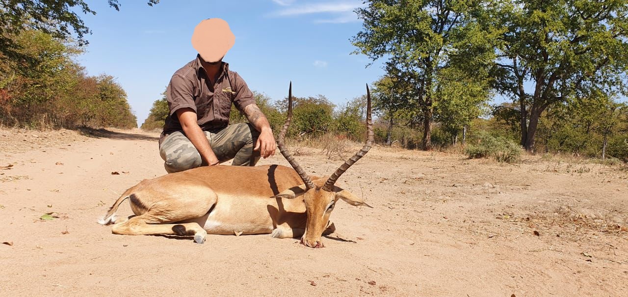 Leopard Hunting in Namibia & Brown Hyena Cancelation Hunt