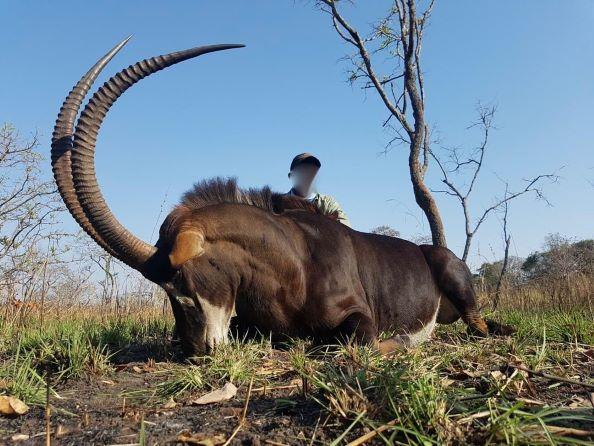 Leopard Hunting in Namibia & Brown Hyena Cancelation Hunt