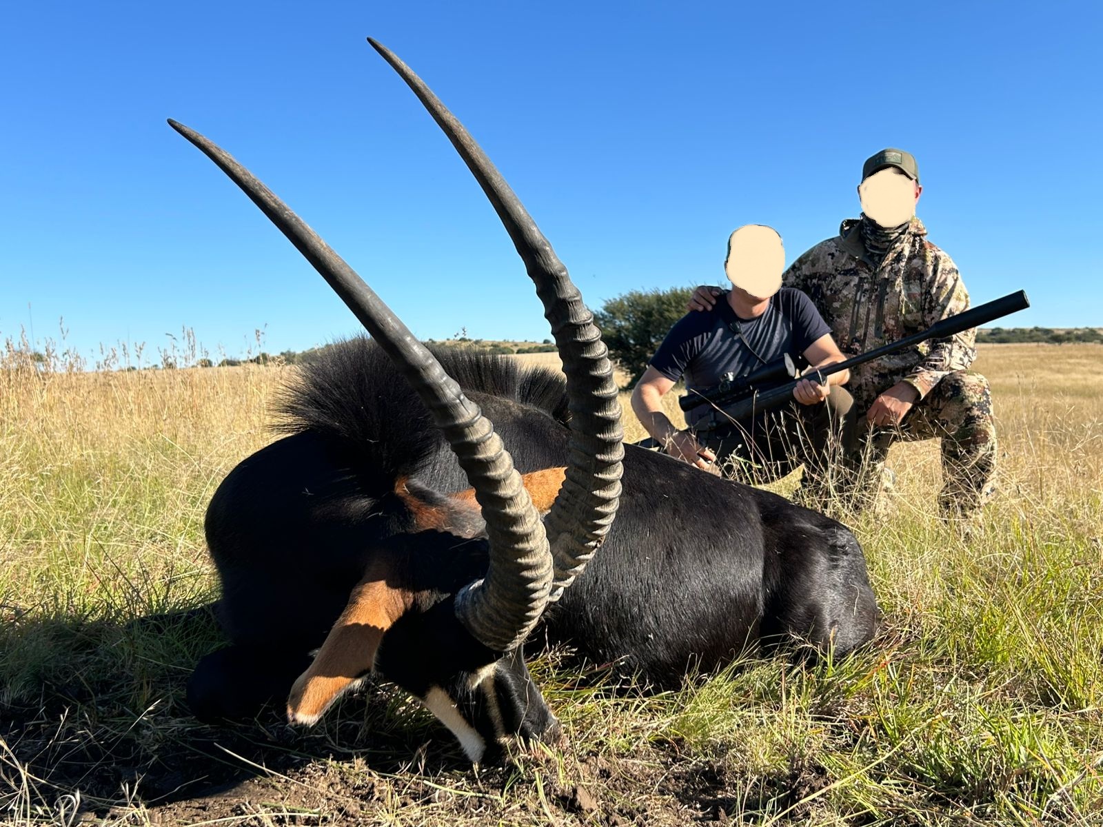 Leopard Hunting in Namibia & Brown Hyena Cancelation Hunt