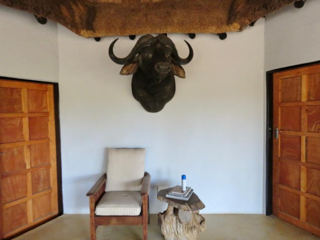 Leopard Hunting in Namibia & Brown Hyena Cancelation Hunt