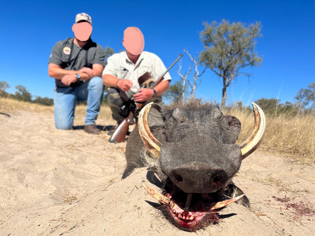 Leopard Hunting in Namibia & Brown Hyena Cancelation Hunt