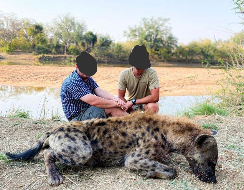 Night Critter Hunting Adventures in South Africa 