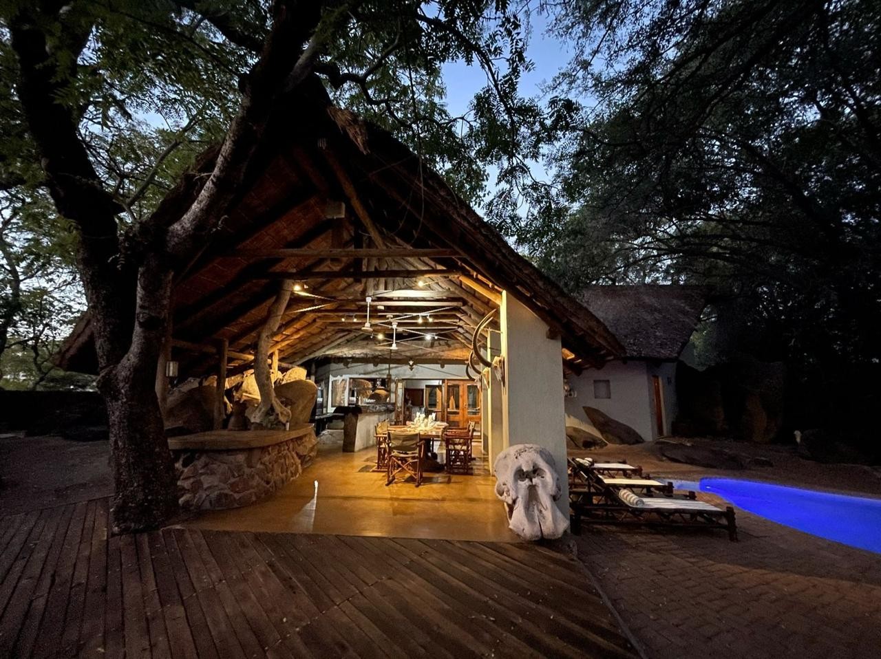 Leopard Hunting in Namibia & Brown Hyena Cancelation Hunt