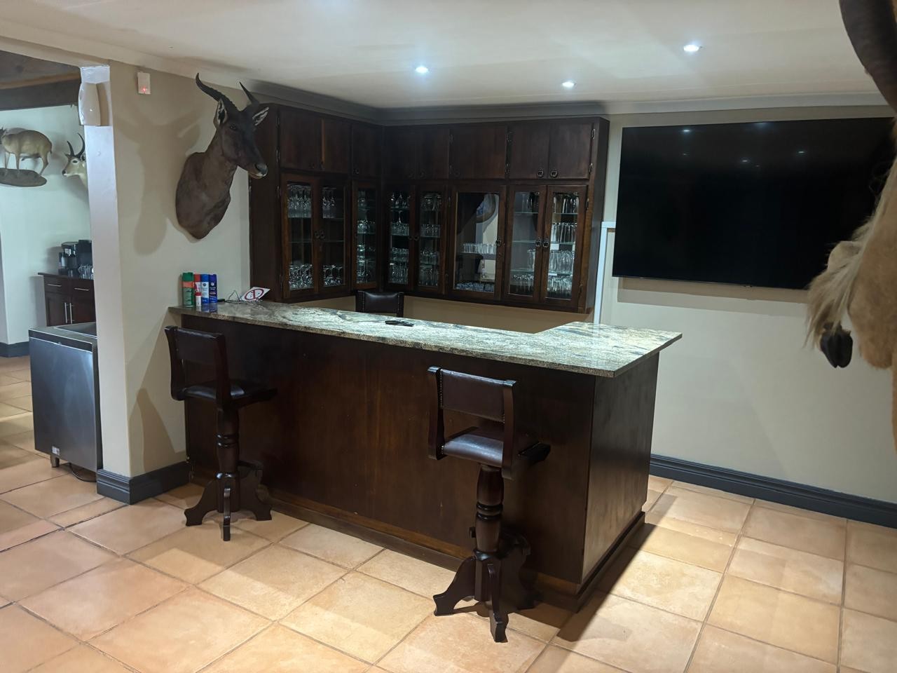 Leopard Hunting in Namibia & Brown Hyena Cancelation Hunt