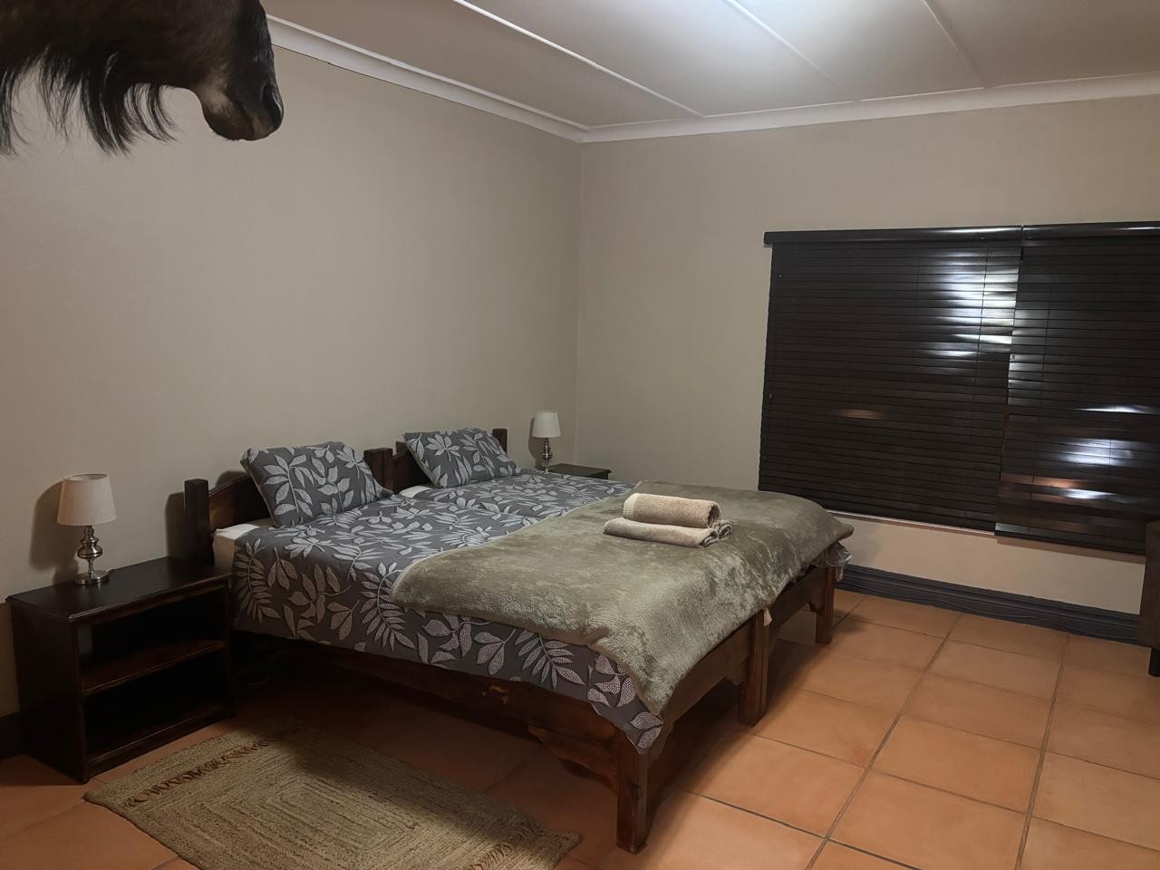 Leopard Hunting in Namibia & Brown Hyena Cancelation Hunt