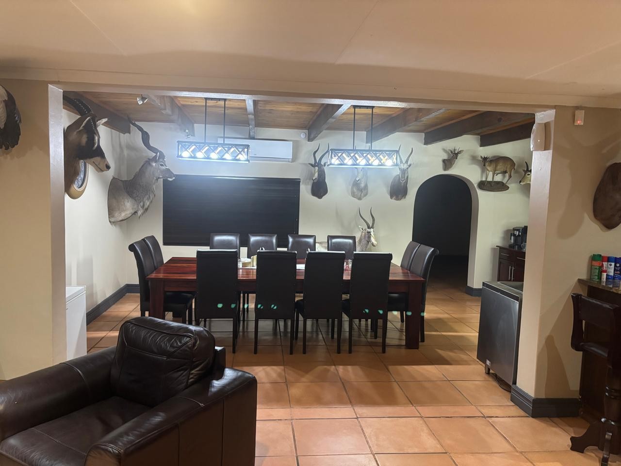 Leopard Hunting in Namibia & Brown Hyena Cancelation Hunt