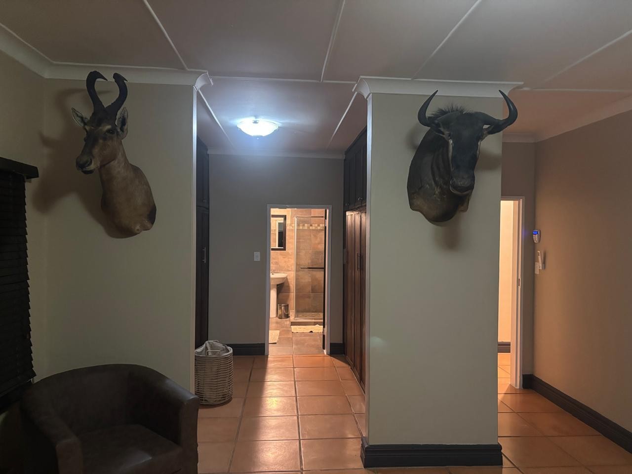 Leopard Hunting in Namibia & Brown Hyena Cancelation Hunt