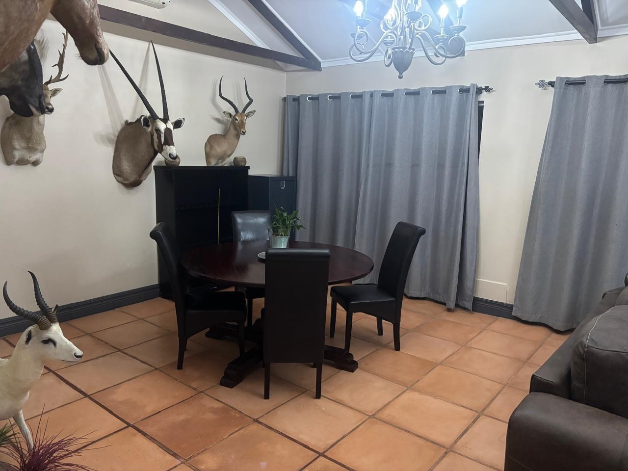 Leopard Hunting in Namibia & Brown Hyena Cancelation Hunt