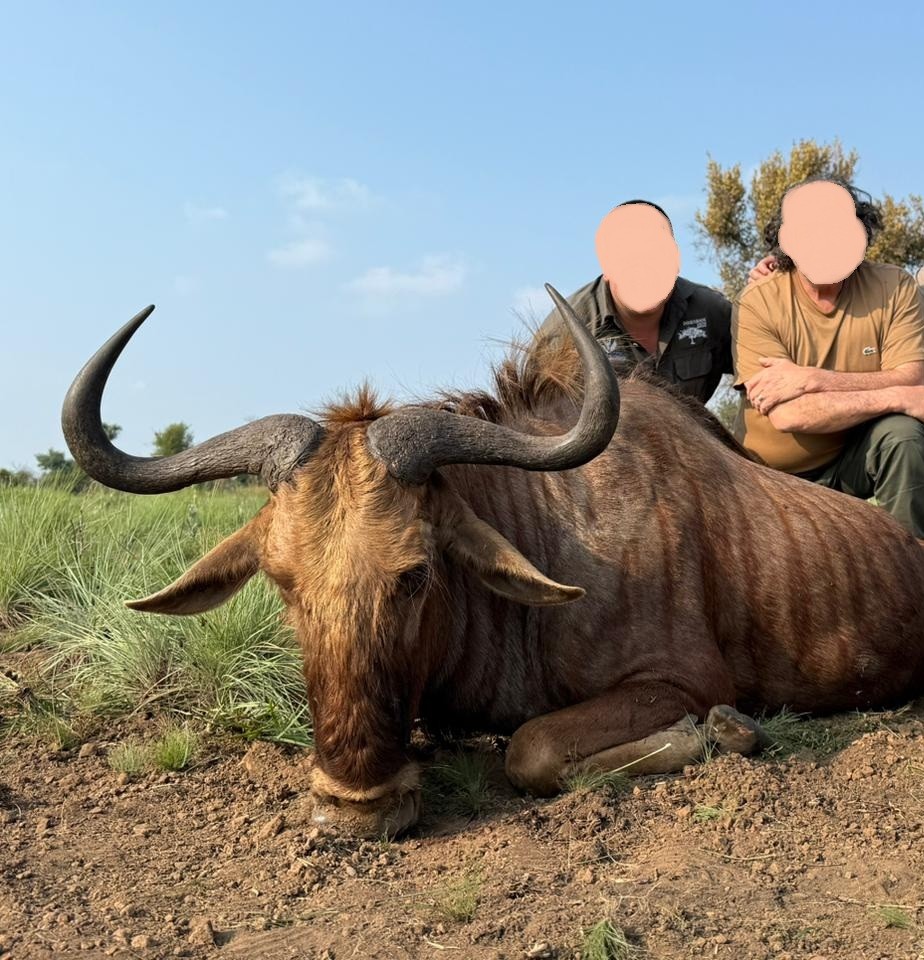 Leopard Hunting in Namibia & Brown Hyena Cancelation Hunt