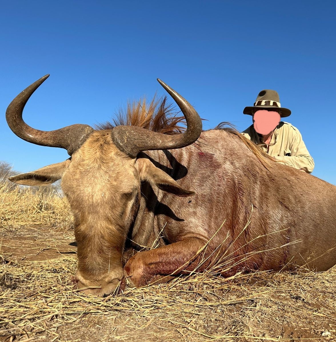 South African Hunts: Complete the Wildebeest Slam!