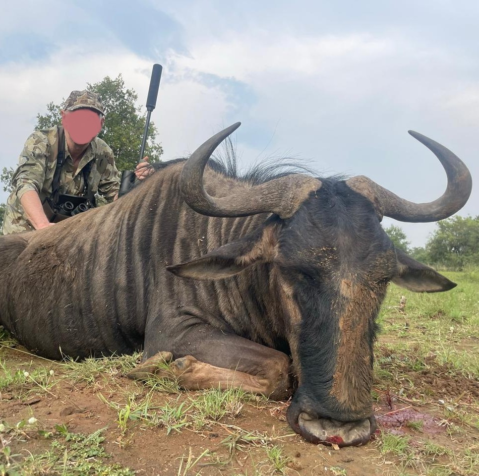 Leopard Hunting in Namibia & Brown Hyena Cancelation Hunt