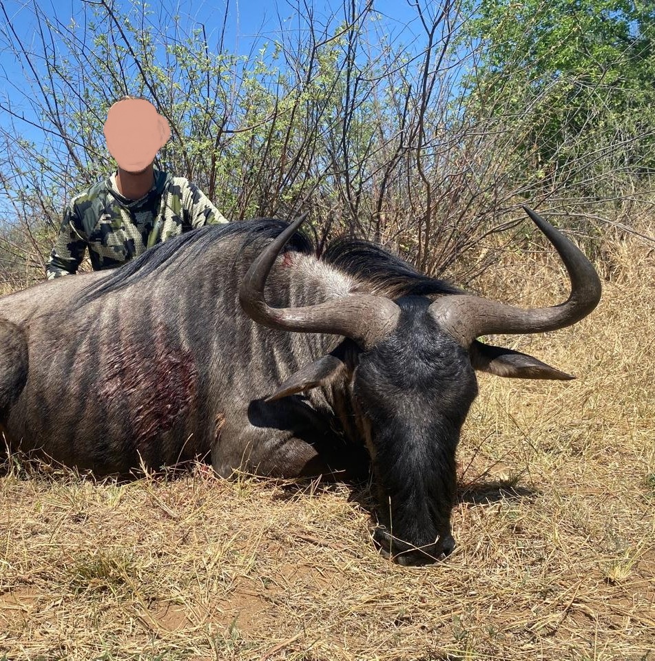 Leopard Hunting in Namibia & Brown Hyena Cancelation Hunt