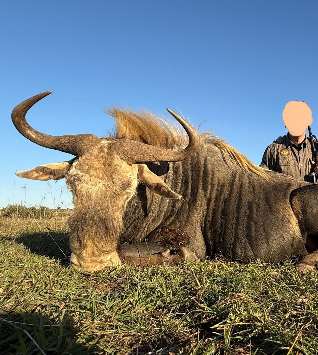 Leopard Hunting in Namibia & Brown Hyena Cancelation Hunt