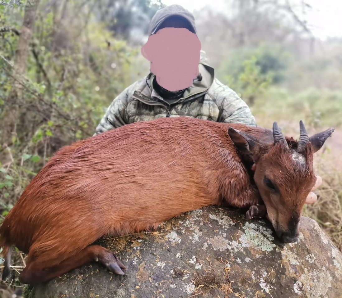 Leopard Hunting in Namibia & Brown Hyena Cancelation Hunt