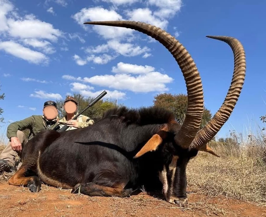 Leopard Hunting in Namibia & Brown Hyena Cancelation Hunt