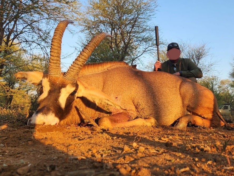 Leopard Hunting in Namibia & Brown Hyena Cancelation Hunt