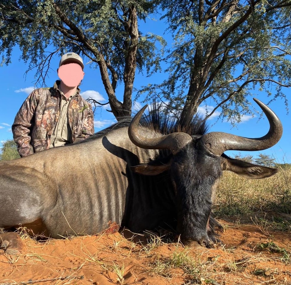 Leopard Hunting in Namibia & Brown Hyena Cancelation Hunt