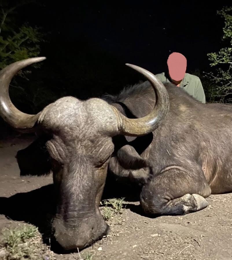 Leopard Hunting in Namibia & Brown Hyena Cancelation Hunt