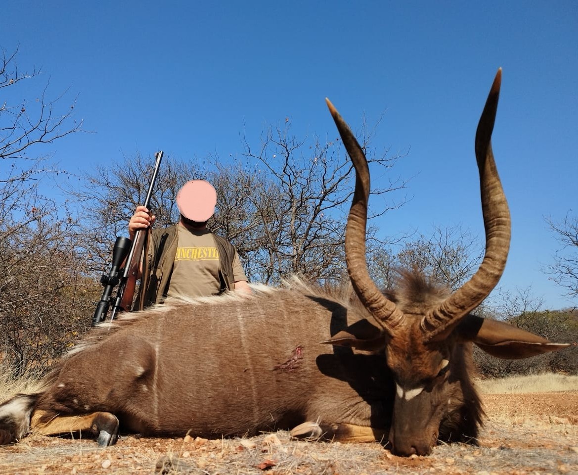 Leopard Hunting in Namibia & Brown Hyena Cancelation Hunt