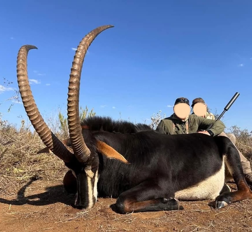 Leopard Hunting in Namibia & Brown Hyena Cancelation Hunt