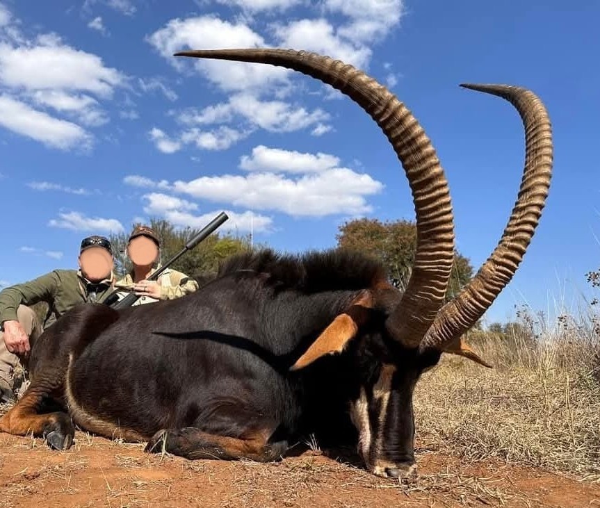 Leopard Hunting in Namibia & Brown Hyena Cancelation Hunt