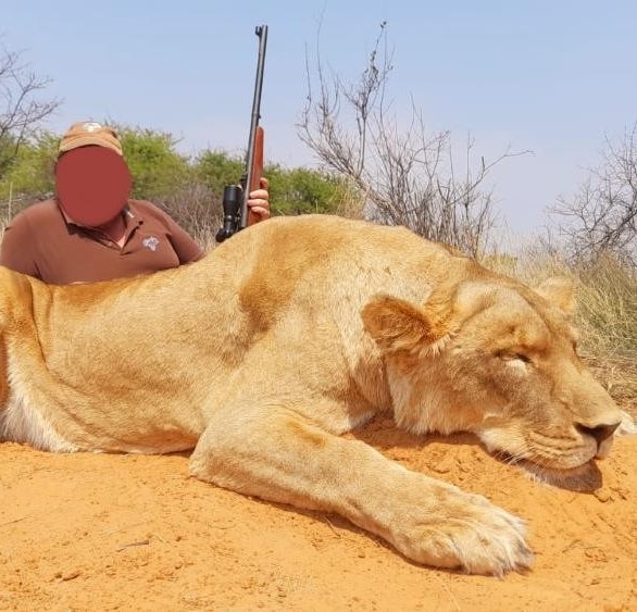 Leopard Hunting in Namibia & Brown Hyena Cancelation Hunt