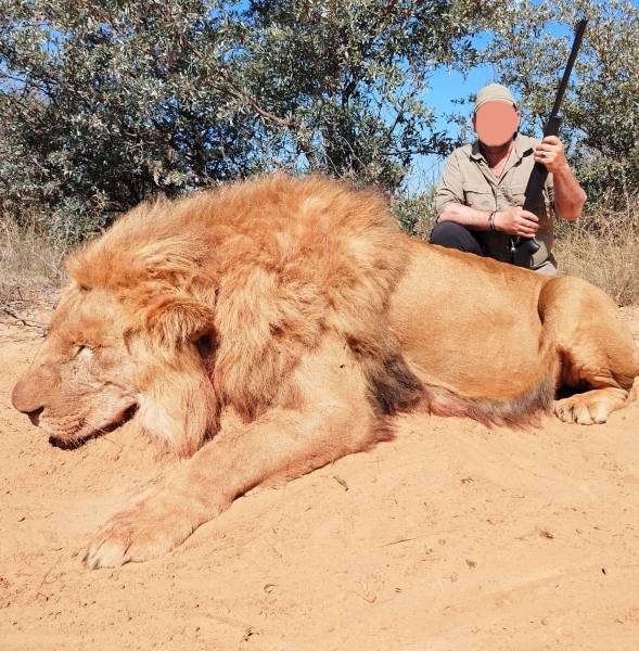 Leopard Hunting in Namibia & Brown Hyena Cancelation Hunt