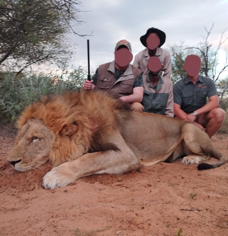 Lion Hunting Safari in North West Province, South Africa