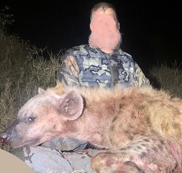 Spotted Hyena Hunting in SA plus 7 Specialty Species