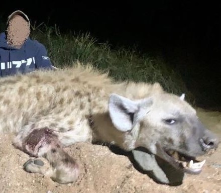 Leopard Hunting in Namibia & Brown Hyena Cancelation Hunt