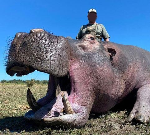Hippo Hunting SA incl a Buffalo, Sable, Roan and 7 Species