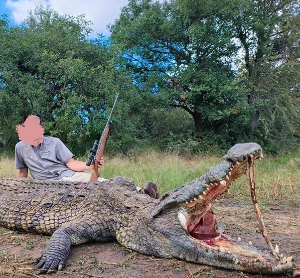 Leopard Hunting in Namibia & Brown Hyena Cancelation Hunt